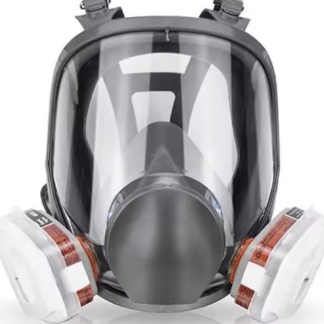 Silicone Mask with Filters